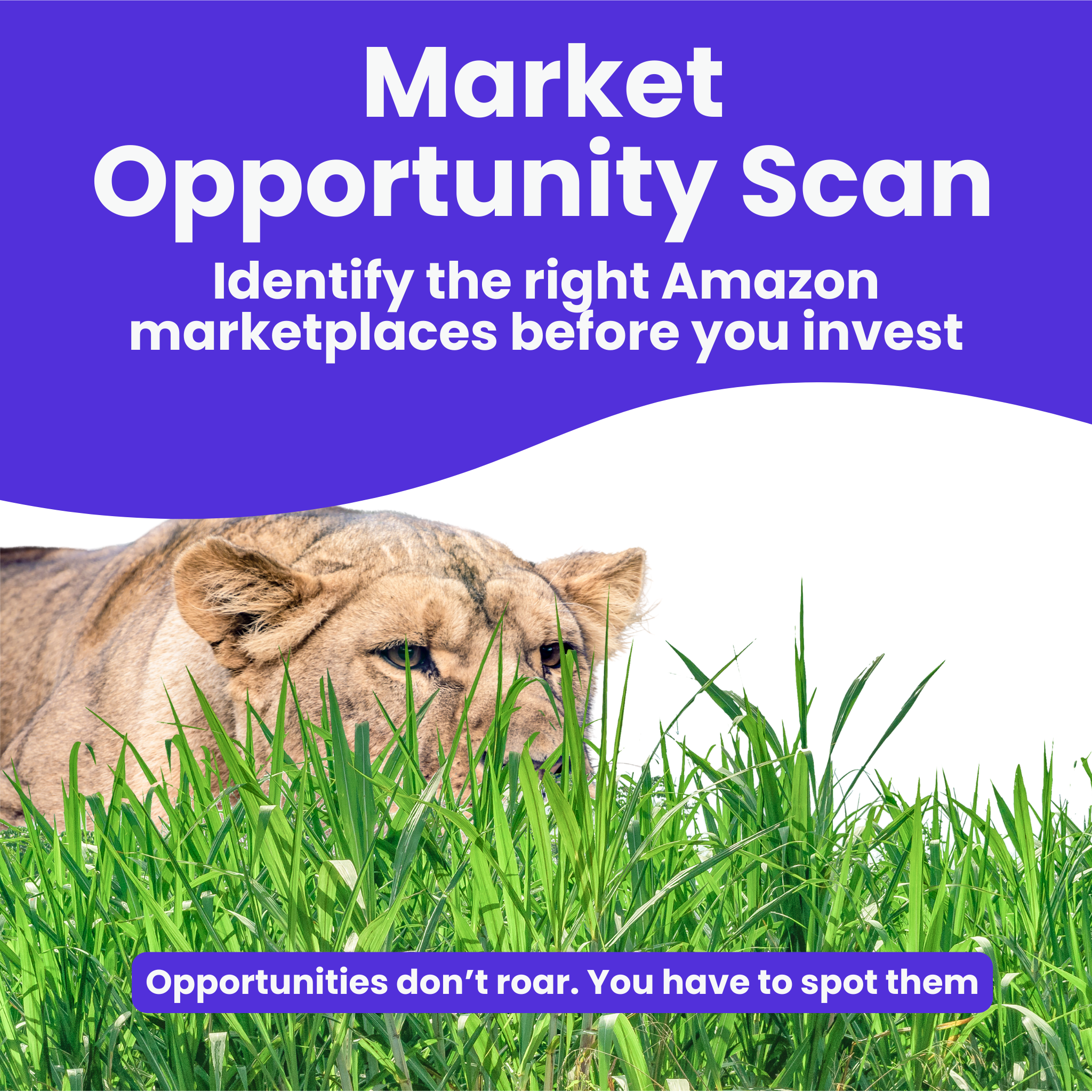 Market opportunity scan (per country)