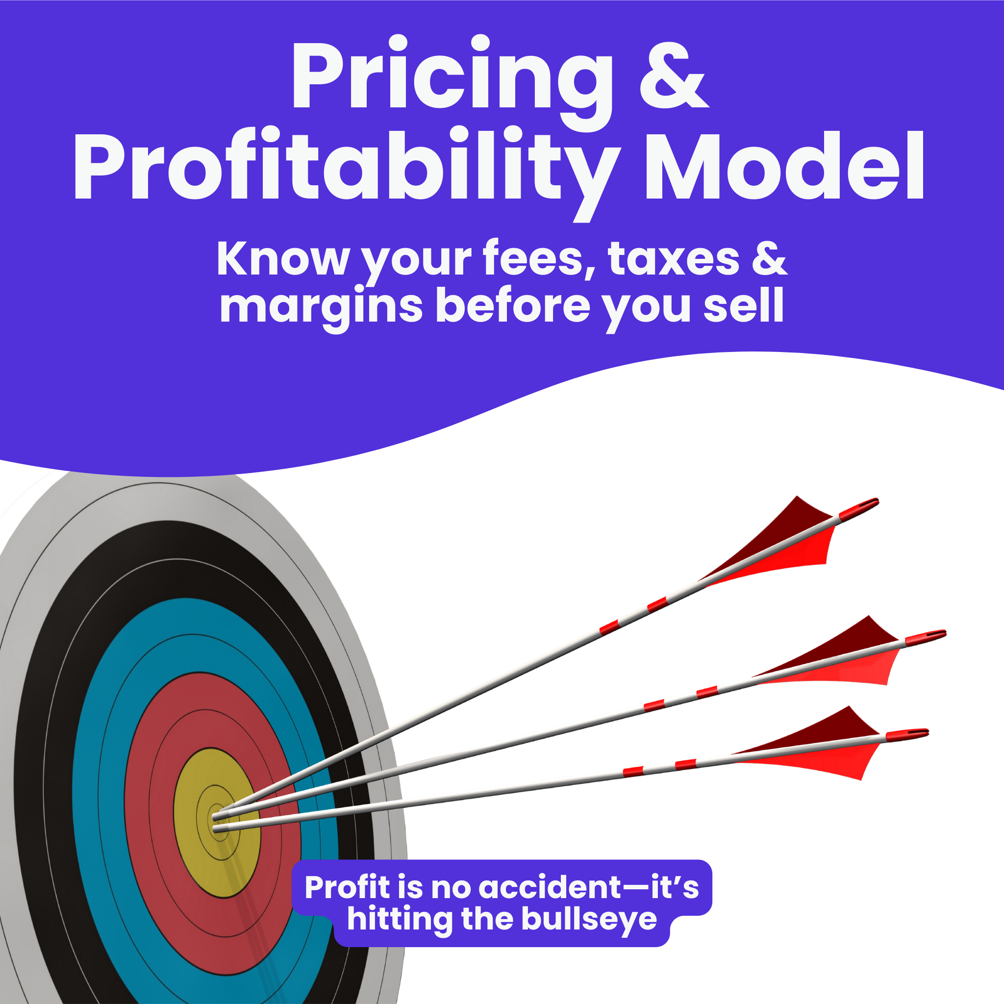 Pricing & profitability model (fees, VAT, margins)